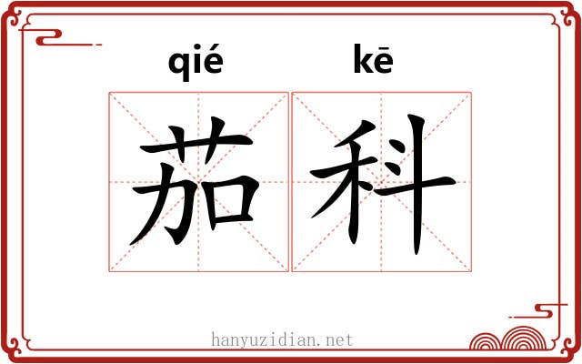 茄科