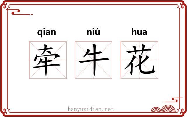 牵牛花