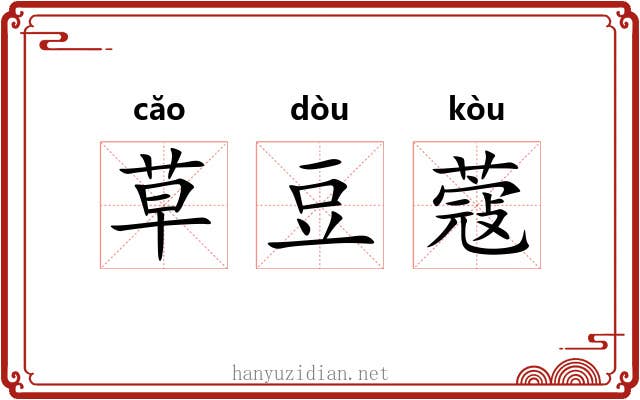 草豆蔻 草豆蔻