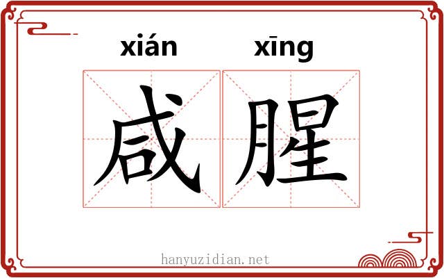 咸腥
