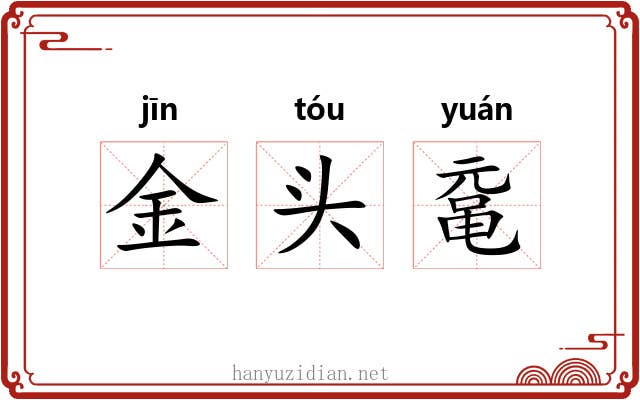 金头鼋 金头鼋