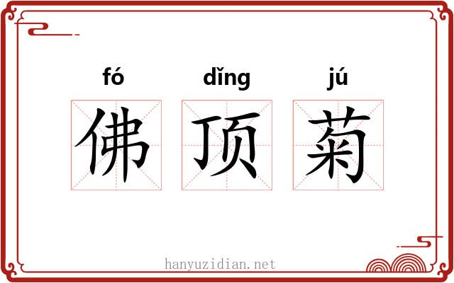 佛顶菊 佛顶菊