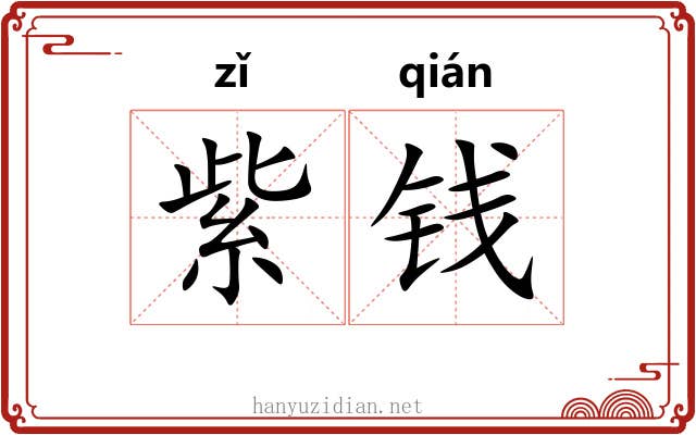 紫钱 紫钱