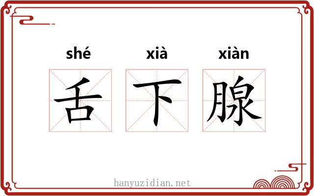 舌下腺