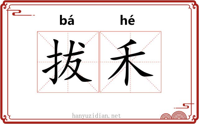 拔禾