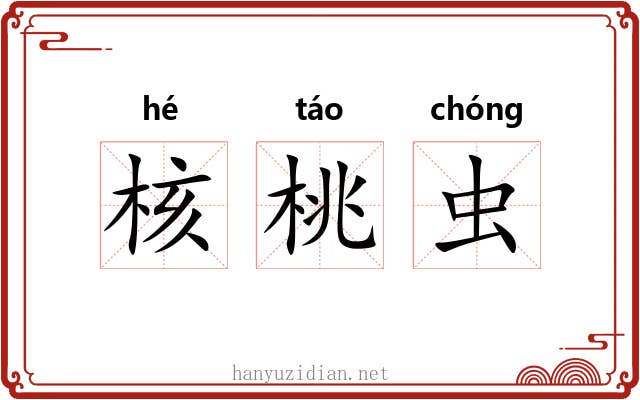 核桃虫 核桃虫