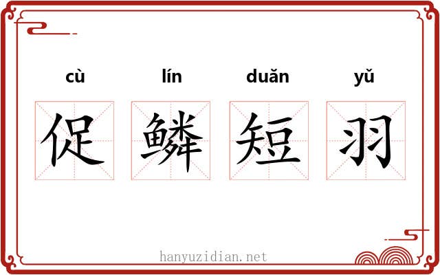 促鳞短羽