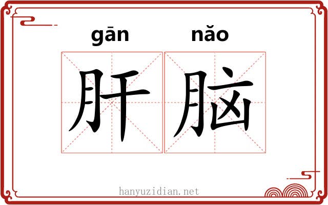 肝脑