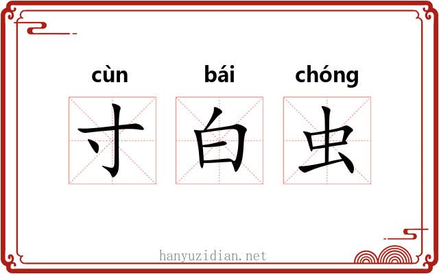 寸白虫