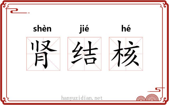 肾结核 肾结核