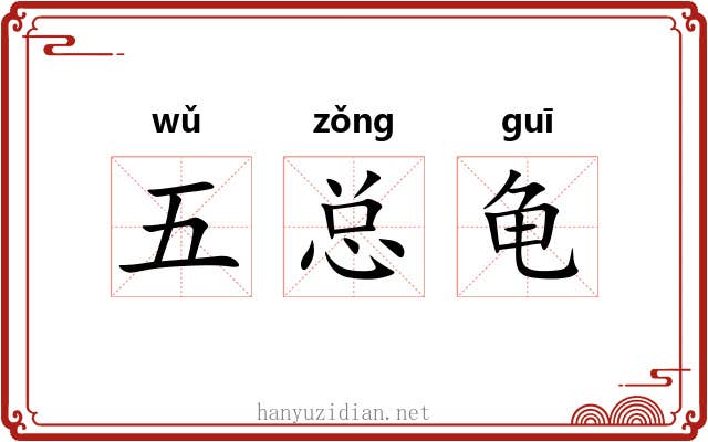 五总龟
