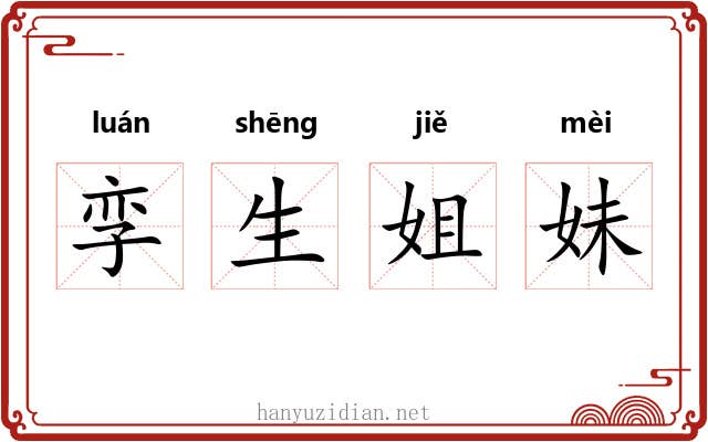 孪生姐妹 孪生姐妹