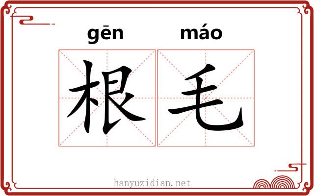 根毛