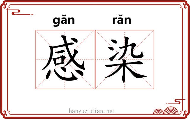 感染 感染