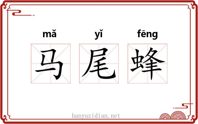 马尾蜂 马尾蜂