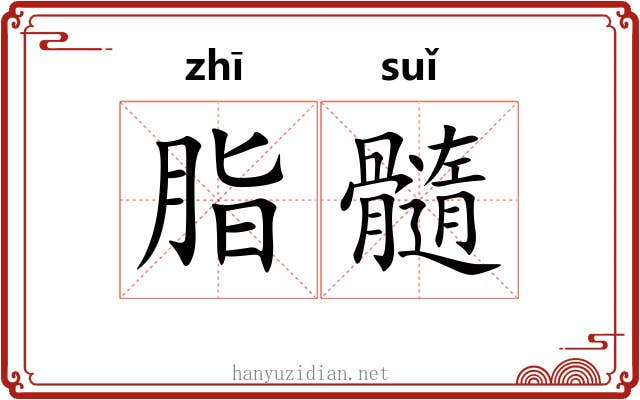 脂髓