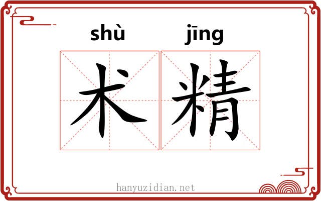 术精