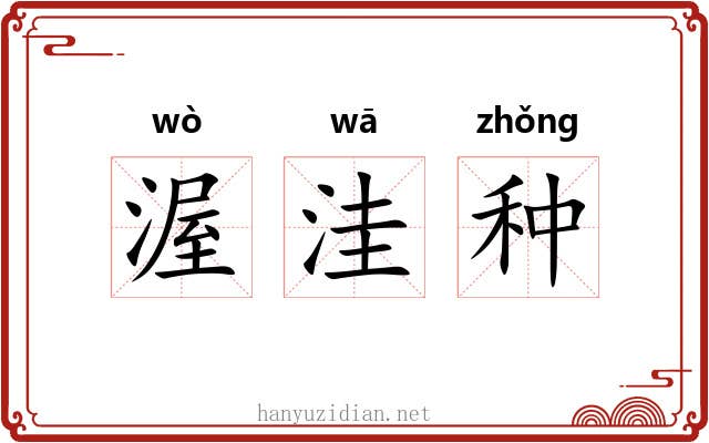 渥洼种