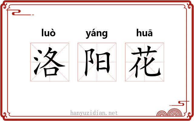 洛阳花