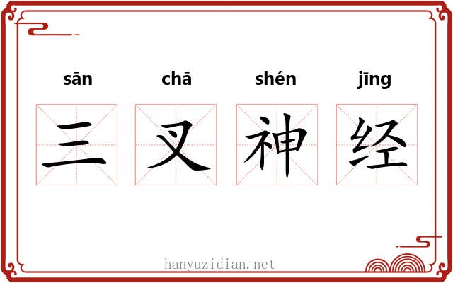 三叉神经 三叉神经