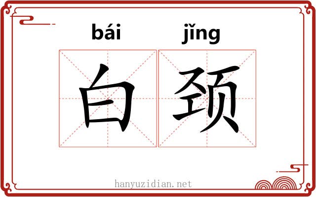白颈
