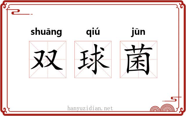 双球菌