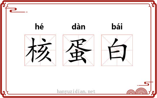 核蛋白
