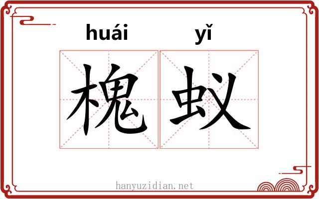 槐蚁