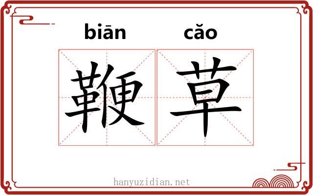鞭草 鞭草