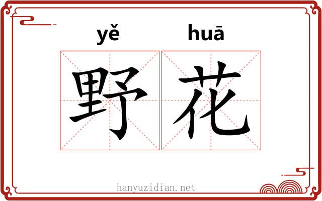 野花 野花