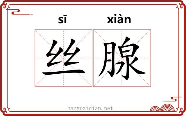 丝腺