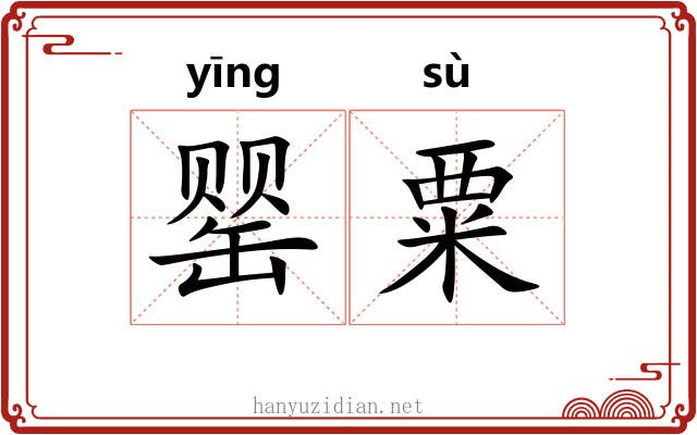 罂粟 罂粟