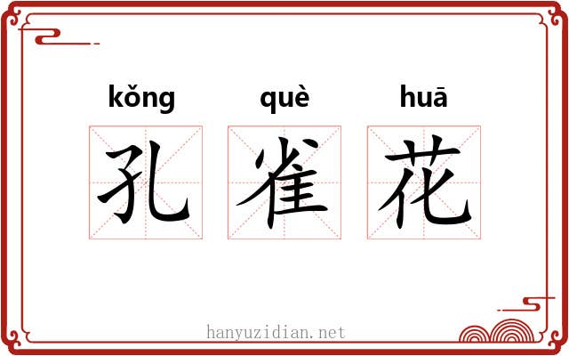 孔雀花 孔雀花