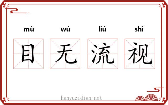目无流视