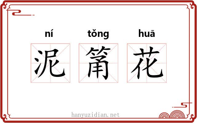 泥筩花