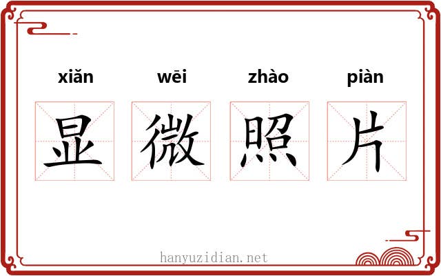 显微照片 显微照片