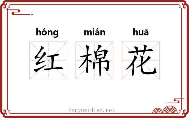 红棉花 红棉花