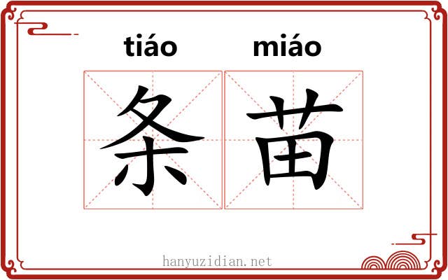 条苗 条苗