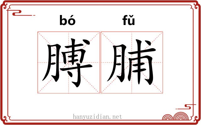 膊脯