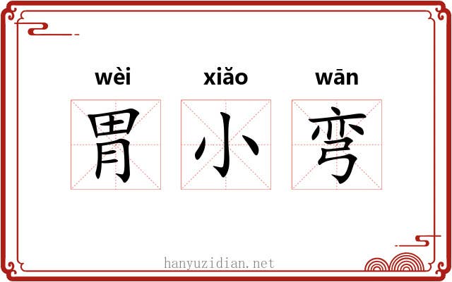 胃小弯 胃小弯