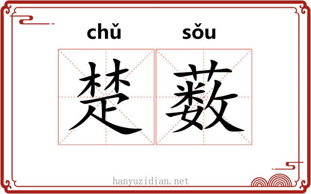 楚薮