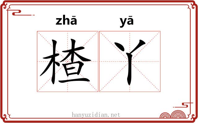 楂丫