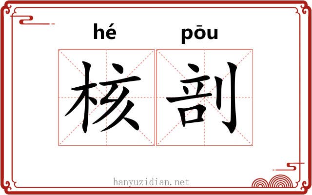 核剖