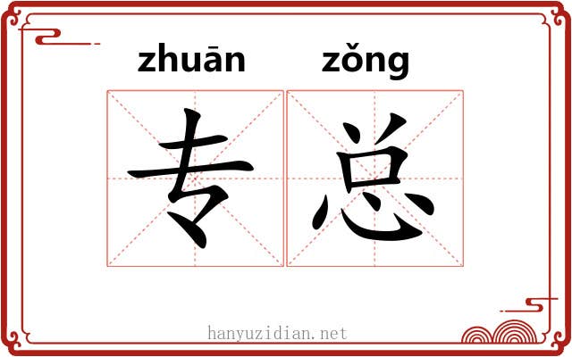专总