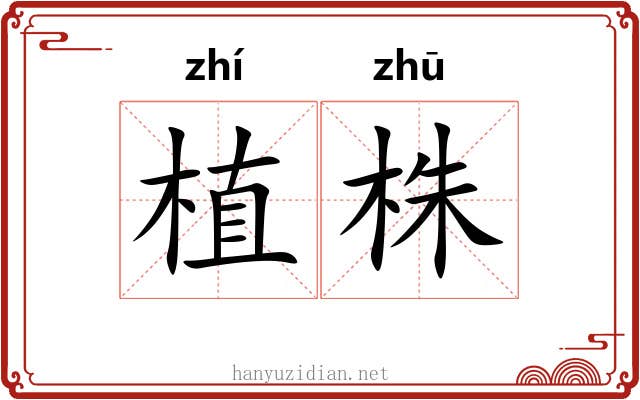 植株
