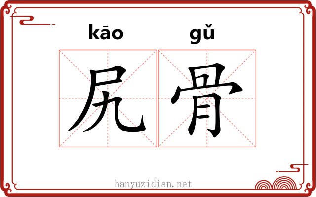 尻骨