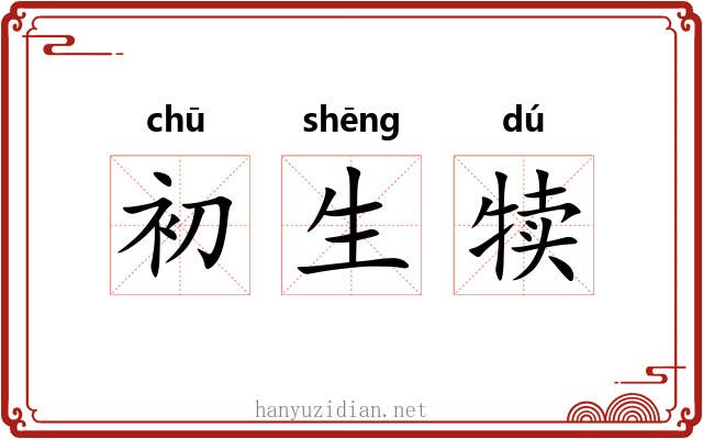 初生犊 初生犊