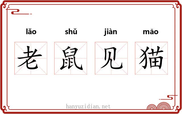 老鼠见猫