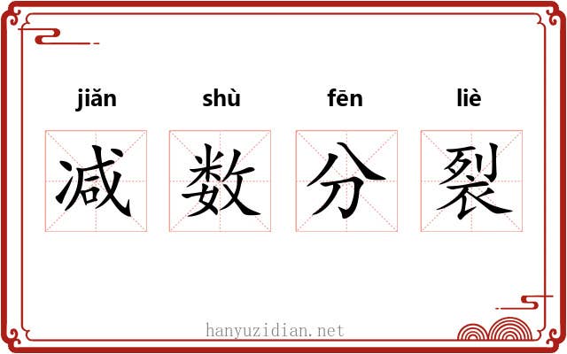 减数分裂 减数分裂