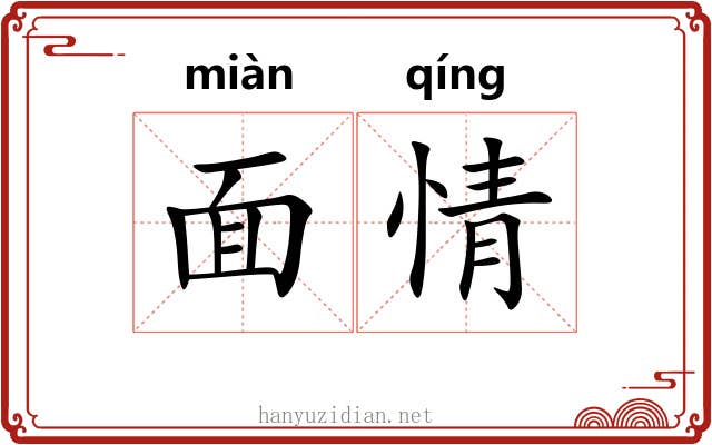 面情
